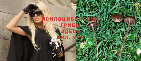 спайс Магас