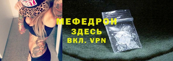 индика Арсеньев