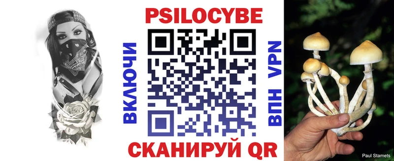 Псилоцибиновые грибы Psilocybe  где продают наркотики  kraken зеркало  Алейск 